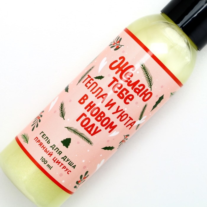 Гель для душа «Тепла и уюта в Новом Году!», 100 мл, аромат пряного цитруса, ЧИСТОЕ СЧАСТЬЕ Гель для душа «Тепла и уюта в Новом Году!», 100 мл, аромат пряного цитруса, ЧИСТОЕ СЧАСТЬЕ