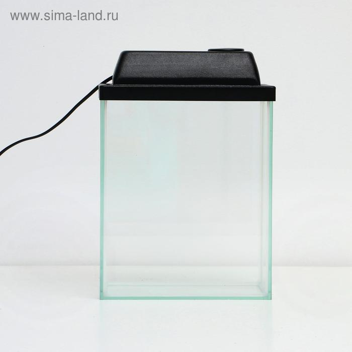 Аквариум Прямоугольный Аквариум Прямоугольный "Колонна Ширма" 10 литров, 25 х 13 х 31 см, чёрный