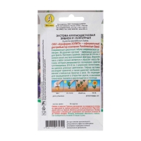 Семена Эустома "Эйбиси" F1 пурпурная крупноцветковая махровая , 5шт Семена Эустома "Эйбиси" F1 пурпурная крупноцветковая махровая , 5шт