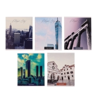 Комплект тетрадей из 5 штук, 48 листов в клетку Calligrata "Города", обложка мелованный картон, блок №2, белизна 75% (серые листы) Комплект тетрадей из 5 штук, 48 листов в клетку Calligrata "Города", обложка мелованный картон, блок №2, белизна 75% (серые листы)