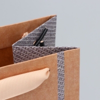 Пакет подарочный крафтовый под бутылку, упаковка, &laquo;#Поздравляю&raquo;, 12 х 36 х 10 см