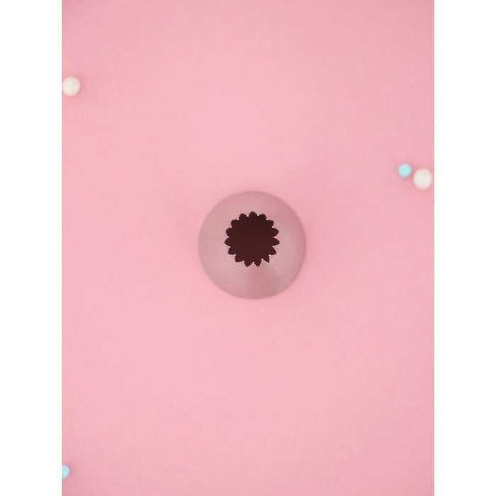 Насадка кондитерская KONFINETTA &laquo;Французская звезда&raquo;, d=3 см, выход d=1,2 см, нержавеющая сталь