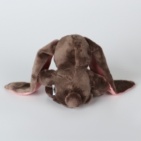 Мягкая игрушка «Зайка Li», с книгой, девочка, заяц, 25 см Мягкая игрушка «Зайка Li», с книгой, девочка, заяц, 25 см