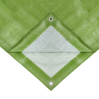 Тент защитный, 5 &times; 3 м, плотность 120 г/м&sup2;, УФ, люверсы шаг 1 м, зелёный/серебристый