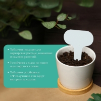 Таблички садовые для маркировки, 7 см, набор 20 шт., пластик, цвет МИКС, Greengo Таблички садовые для маркировки, 7 см, набор 20 шт., пластик, цвет МИКС, Greengo