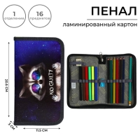 Пенал 1 секция, 115 х 205 мм, с наполнением 16 предметов, Calligrata "Енот" ламинированный картон, 30П26/set Пенал 1 секция, 115 х 205 мм, с наполнением 16 предметов, Calligrata "Енот" ламинированный картон, 30П26/set