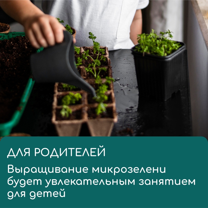 Коврик из кокосового волокна, для выращивания микрозелени, 50 &times; 25 см, Greengo