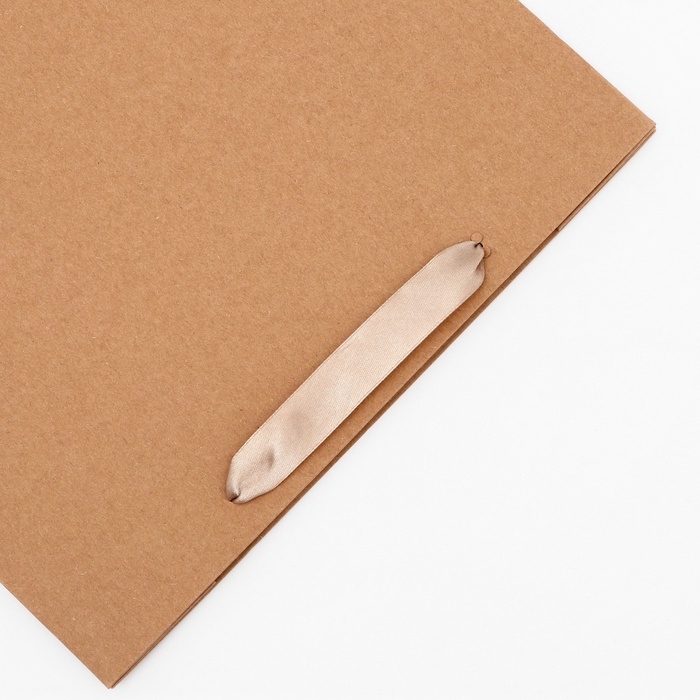 Пакет крафт без печати, 27 х 10 х 21 см 260 г/м2