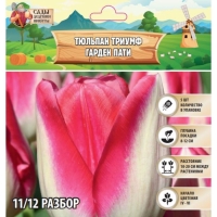 Тюльпан Триумф Гарден Пати, р-р 11/12, 5 шт, Осень 2024 Тюльпан Триумф Гарден Пати, р-р 11/12, 5 шт, Осень 2024