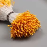 Тычинки для искусственных цветов глянец "Рисинки" светло-оранжевый набор 360 шт длина 6 см 10705 Тычинки для искусственных цветов глянец "Рисинки" светло-оранжевый набор 360 шт длина 6 см 10705