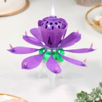 Свеча для торта музыкальная "Тюльпан", крутящаяся, фиолетовая, 14,5×6 см Свеча для торта музыкальная "Тюльпан", крутящаяся, фиолетовая, 14,5×6 см