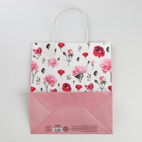 Пакет подарочный крафт, упаковка, &laquo;Мечтай!&raquo;, 22 х 25 х 12 см