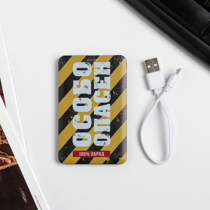 Зарядное устройство &laquo;Особо опасен&raquo;, 2500 mAh, 6 х 9,5 см