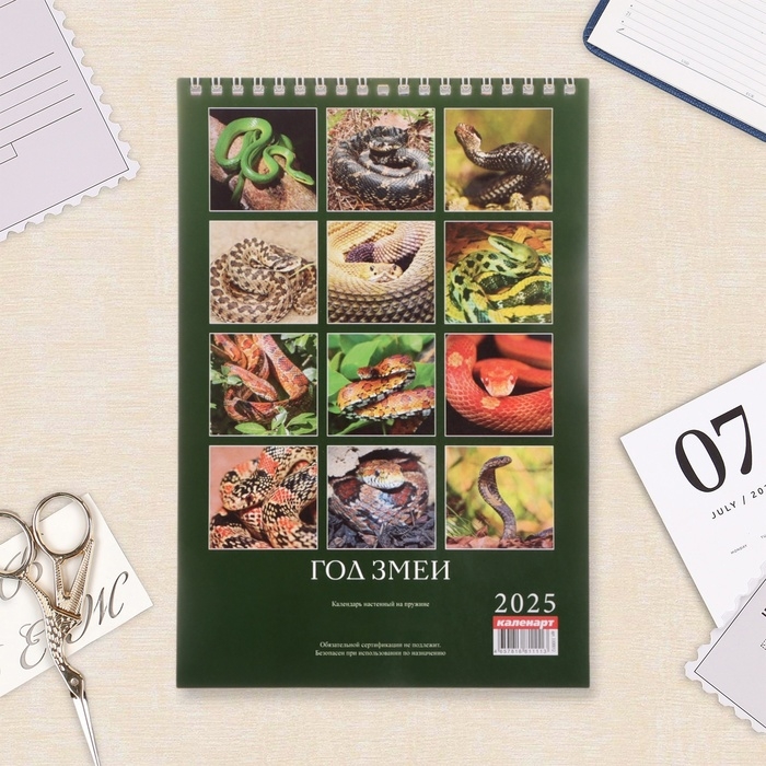 Календарь на пружине без ригеля Календарь на пружине без ригеля "Символ Года Вид - 1" 2025 год, 17 х 25 см