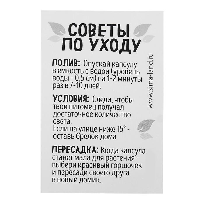 Набор для опытов «Живой брелок», мини-сад, вырасти сам Набор для опытов «Живой брелок», мини-сад, вырасти сам