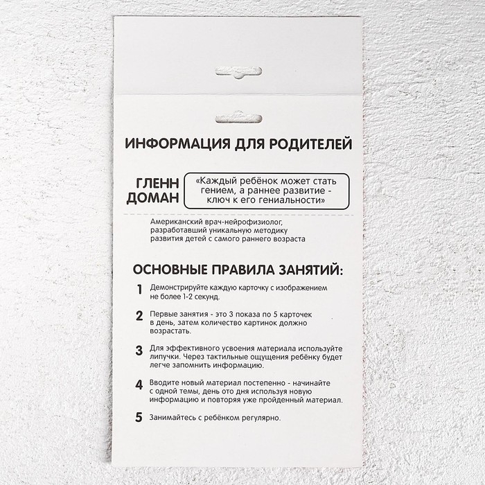 Развивающая игра на липучках &laquo;&lrm;Изучаем мир лесных животных&raquo;, методика Домана, с обучающими карточками по методике Глена Домана