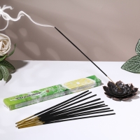 Благовония HEM "Patchouli. Пачули", 20 палочек в упаковке, шестигранник Благовония HEM "Patchouli. Пачули", 20 палочек в упаковке, шестигранник