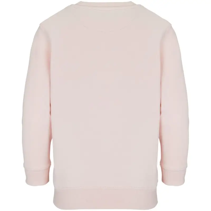 Свитшот детский Columbia Kids, розовый, на рост 96-104