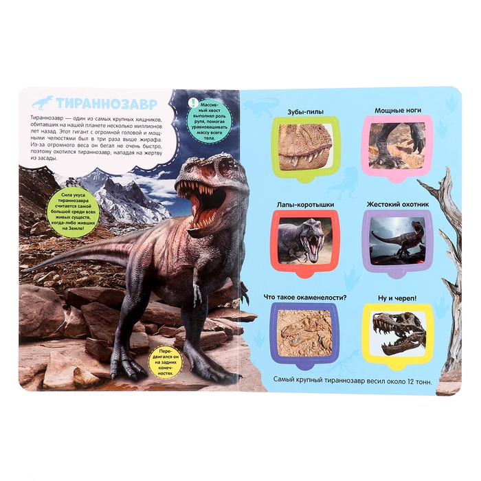 Книжка с окошками &laquo;Динозавры&raquo;