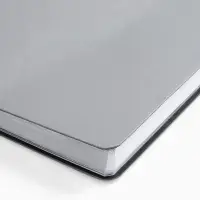 Ежедневник Nebraska Flex, недатированный, серебристый