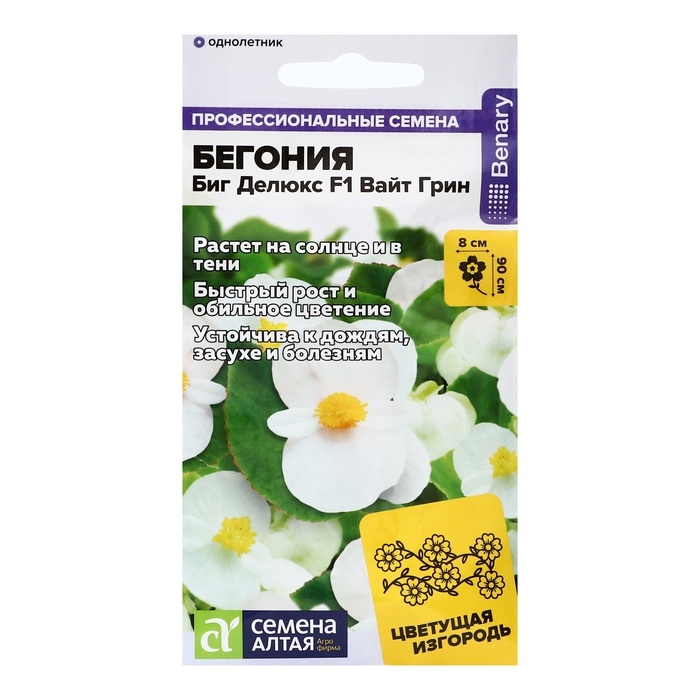 Семена цветов Бегония Биг Делюкс F1 Вайт грин, ц/п, 3 шт. Семена цветов Бегония Биг Делюкс F1 Вайт грин, ц/п, 3 шт.