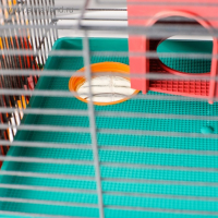 Клетка для грызунов Мини, двухъярусная, с полкой, домом и микс лабиринтов Клетка для грызунов Мини, двухъярусная, с полкой, домом и микс лабиринтов