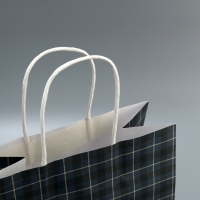 Пакет подарочный крафтовый, упаковка, &laquo;Клетка&raquo;, 22 х 25 х 12 см