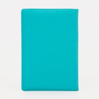 Обложка для паспорта, цвет голубой Обложка для паспорта, цвет голубой