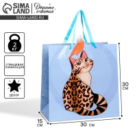 Пакет подарочный, упаковка, &laquo;Кот&raquo;, 30 х 30 х 15 см