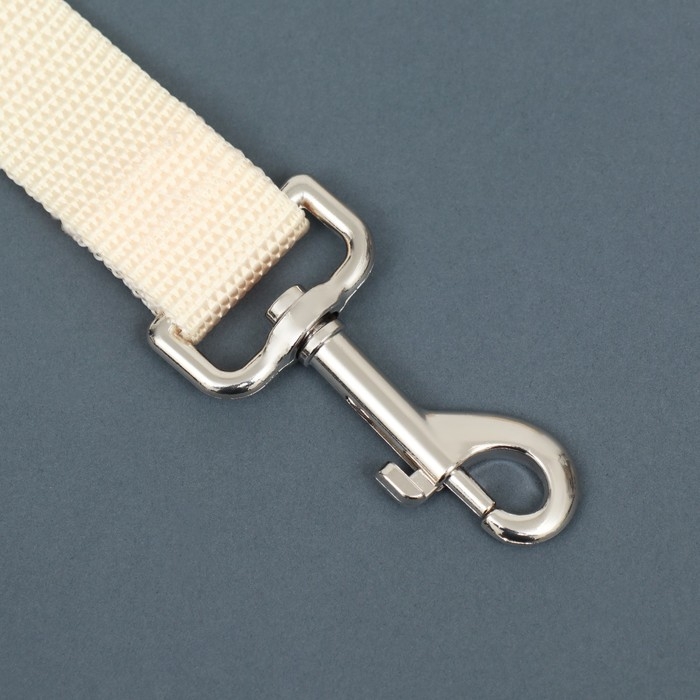 Поводок 1,2 м х 2,5 см, бежевый Поводок 1,2 м х 2,5 см, бежевый