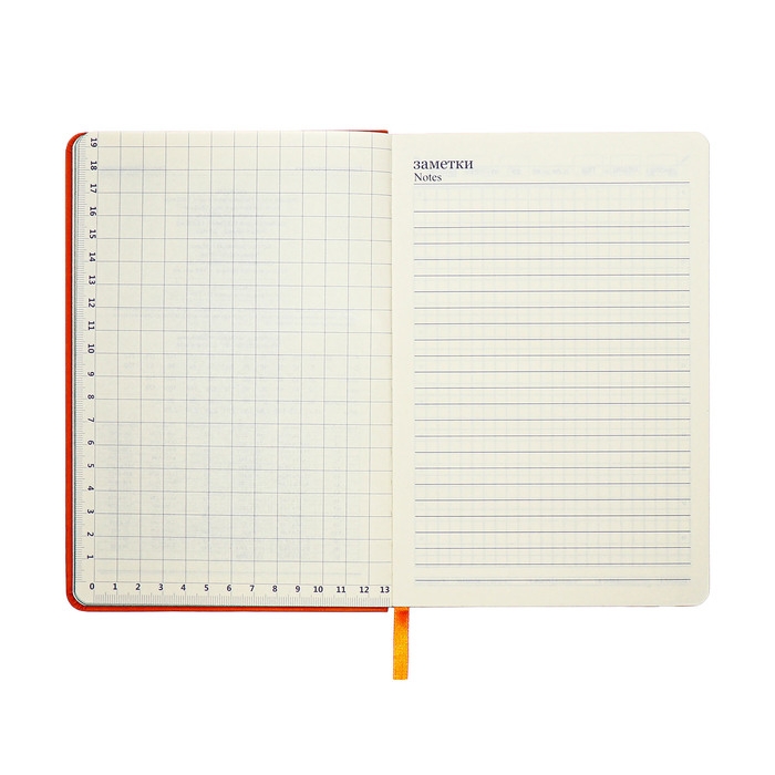 Ежедневник недатированный A5, 140л, клетка, кожзам, на резинке, черный срез, Оранжевый