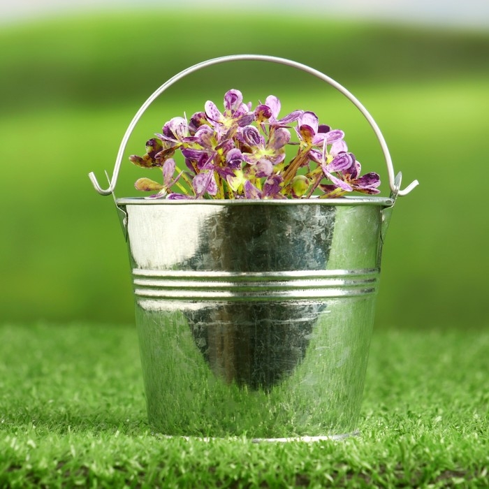 Кашпо Кашпо "Ведерко Альма" 7,5*7см