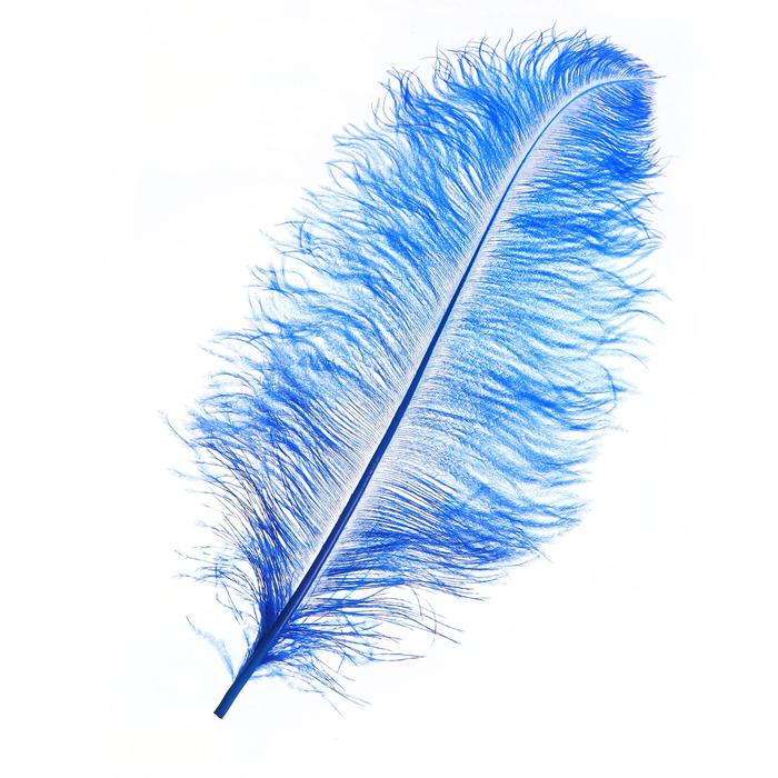 Перо для декора, длина: от 45 до 60 см, цвет синий Перо для декора, длина: от 45 до 60 см, цвет синий