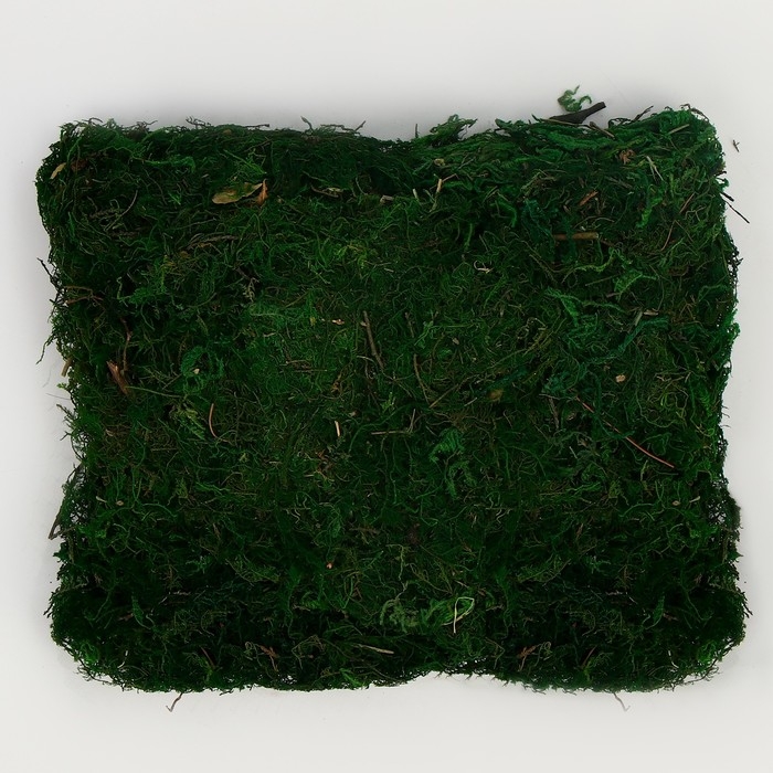 Мох для декора, 80 г, размер: 3 &times; 20 &times; 15 см
