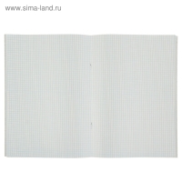 Тетрадь А4, 48 листов в клетку "Город 2", обложка мелованный картон, блок №2, белизна 75% Тетрадь А4, 48 листов в клетку "Город 2", обложка мелованный картон, блок №2, белизна 75%