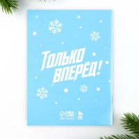 Подарочный набор новогодний, блокнот,наклейки 2 л и магнитные закладки 2 шт &laquo;Улётный набор&raquo;