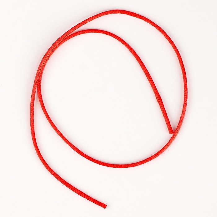 Набор для раскопок «В поисках змейки», с инструментами Набор для раскопок «В поисках змейки», с инструментами