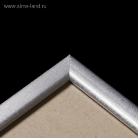 Фоторамка сосна с19 серебро 70х90 см (пластиковый экран)