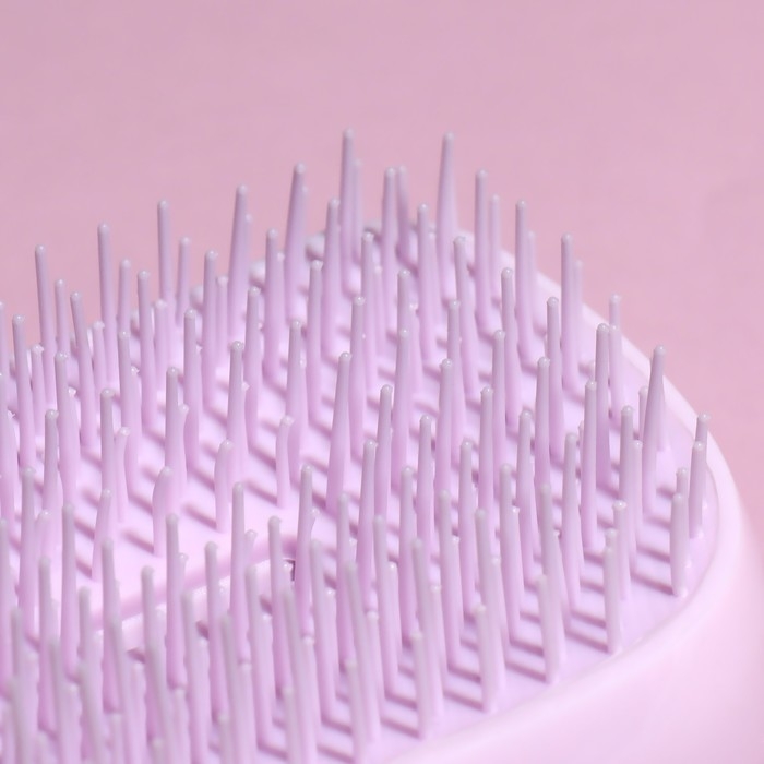 Расчёска массажная, с крышкой, 5 × 9 см, PVC-коробка, цвет МИКС Расчёска массажная, с крышкой, 5 × 9 см, PVC-коробка, цвет МИКС