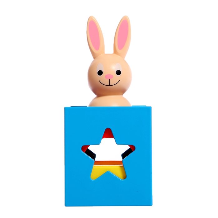 Развивающий набор &laquo;Кролик в домике&raquo;, 3+