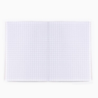 Подарочный набор новогодний, блокнот и ручка пиши-стирай &laquo;Поверь в мечту!&raquo;