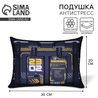 Подушка антистресс &laquo;Мир принадлежит тебе&raquo;, 30 х 22 см