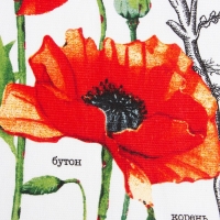 Набор кухонных полотенец Доляна «Весна» 35х60 см - 2шт, 100% хл Набор кухонных полотенец Доляна «Весна» 35х60 см - 2шт, 100% хл