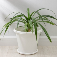 Горшок для цветов с поддоном &laquo;Эконом&raquo;, 10 л, пластиковый, цвет белый