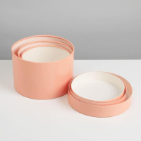 Набор шляпных коробок 3 в 1 пудровый, упаковка подарочная, 16 х 10, 14 х 9, 13 х 8,5 см