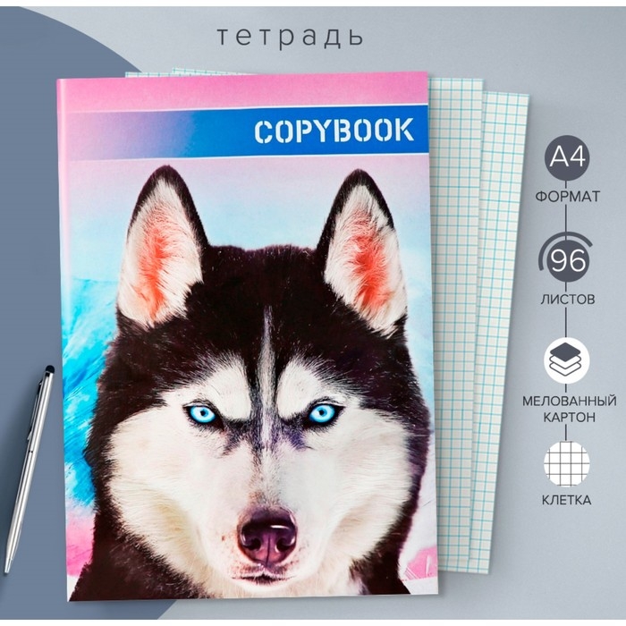 Тетрадь А4, 96 листов в клетку Calligrata Тетрадь А4, 96 листов в клетку Calligrata "Лайка", обложка мелованный картон, блок №2, белизна 75%, (серые листы)