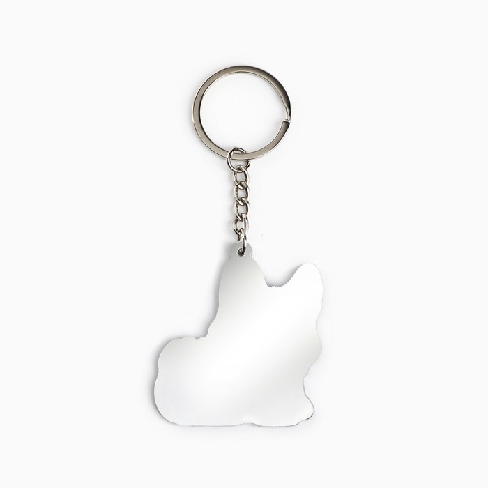 Брелок для ключей зеркало «Лучше всех», 9.4 х 4.8 см Брелок для ключей зеркало «Лучше всех», 9.4 х 4.8 см