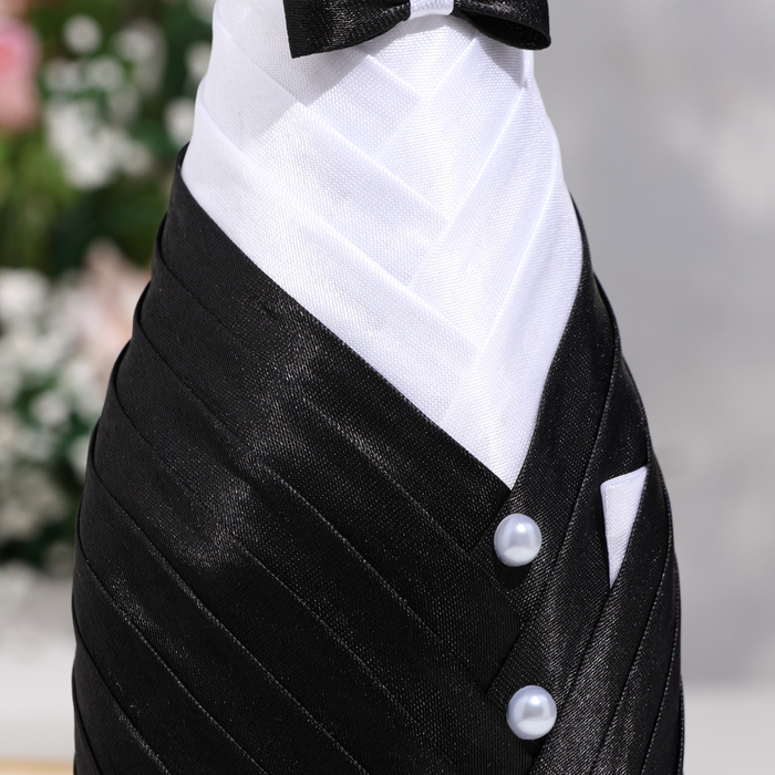 Украшения на шампанское Украшения на шампанское "Элит-тубы" платье с юбкой айвори (2 шт, )