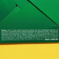 Набор шоколадных монет &laquo;От кредитов сберегин&raquo;, 5 шт. x 6 г.