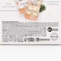 Подарочный набор косметики &laquo;С Новым Годом!&raquo;, гель для душа и пена для ванны, 2 х 100 мл, ЧИСТОЕ СЧАСТЬЕ